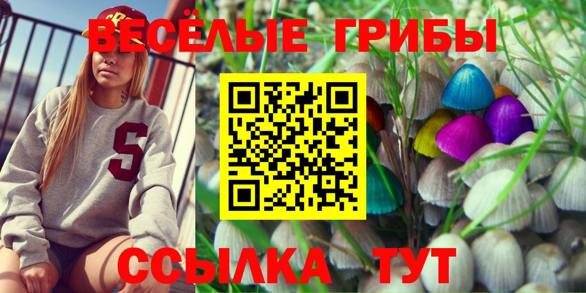 Псилоцибиновые грибы Magic Shrooms  купить наркотик  Галлюциногенные грибы Magic Shrooms  Камышлов  Вход с VPN 