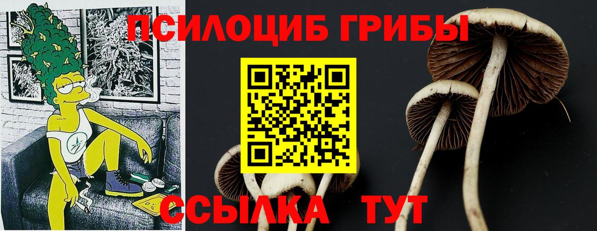 Галлюциногенные грибы Psilocybe Камышлов